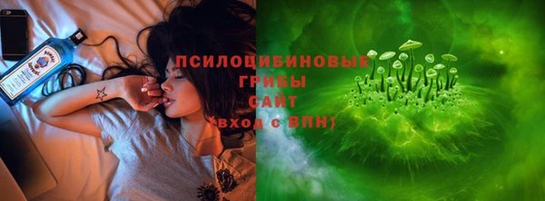 метадон Вяземский
