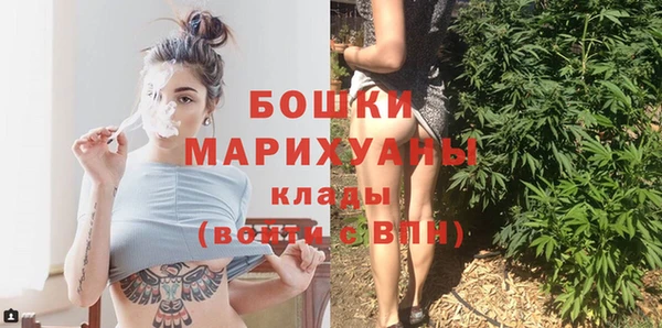 сатива Горнозаводск