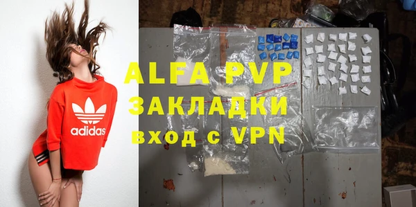 сатива Горнозаводск
