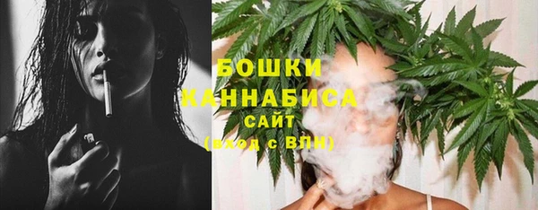 метадон Вяземский
